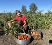 Врожай зі Стартової допомоги