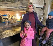 Насіння овочів та господарська птиця