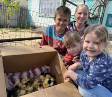 «Стартова підтримка» та «Продуктовий проєкт» для села Божедарівка